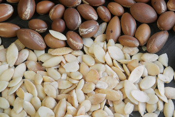 argan-seeds-5-kg