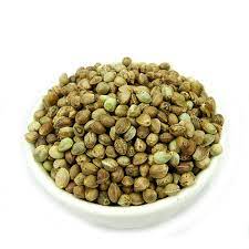 Moroccan hashish seeds 5Kg