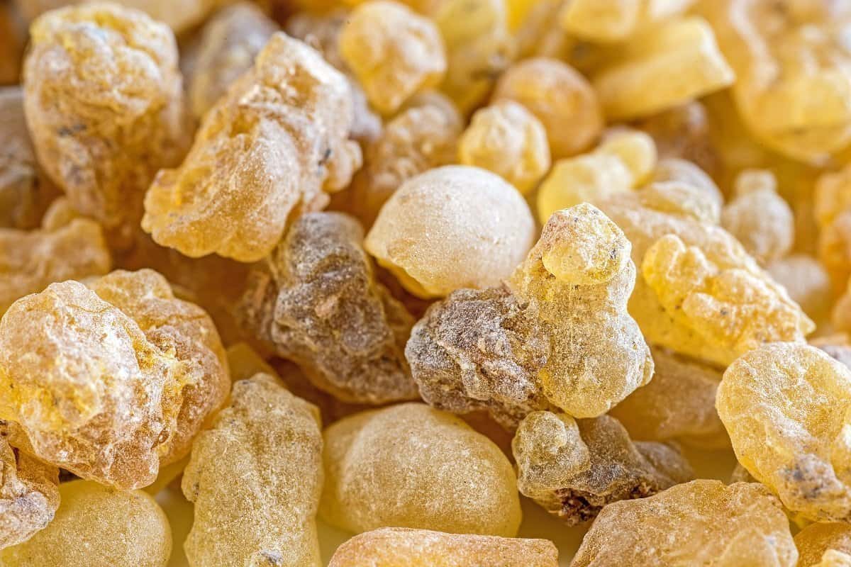 Male frankincense for the skin 2Kg