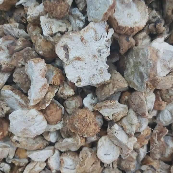 Bakbouka Moroccan 7Kg